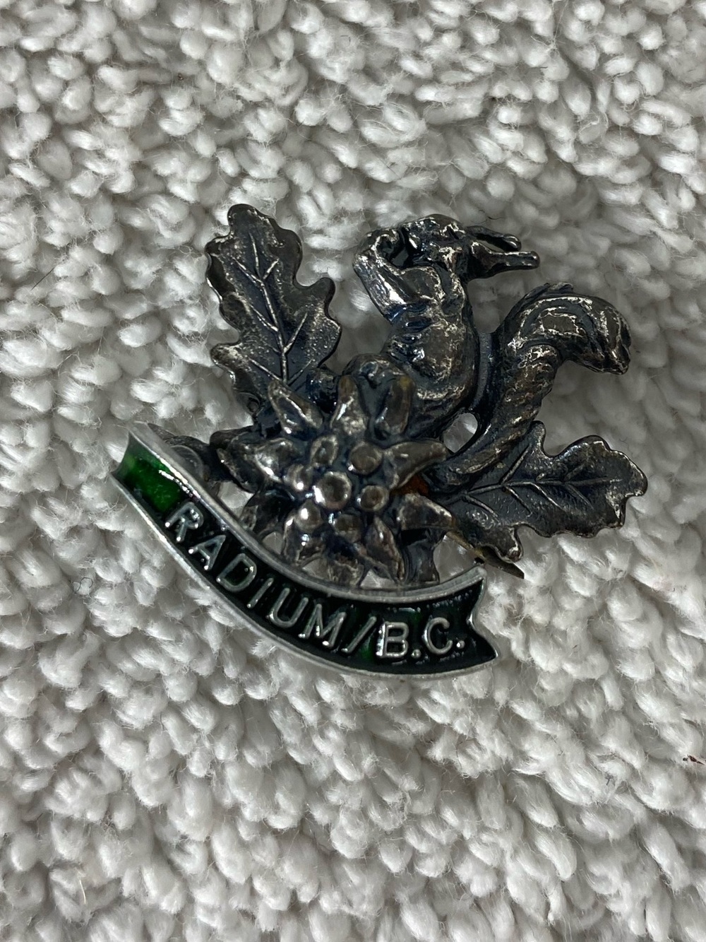 5/$35 Vintage Radium Hot Springs BC Silver Tone Woodland Squirrel Oak Leaf Pin